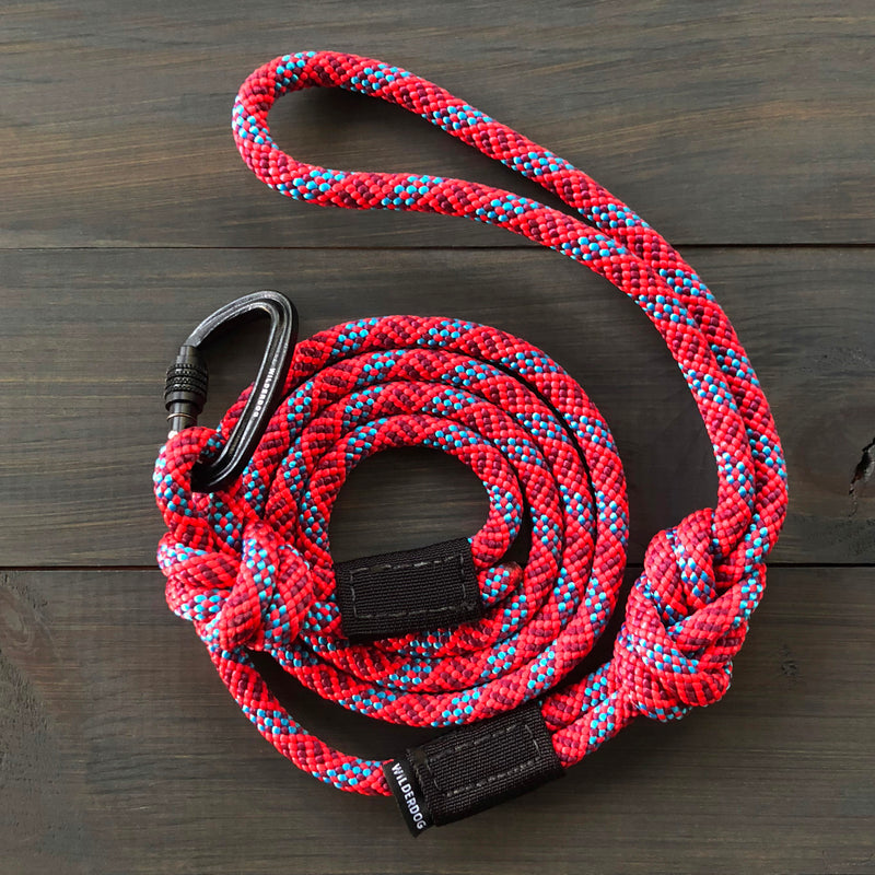 A durable Maple Small Carabiner Leash is displayed on a wooden surface. The leash is primarily red with blue and white accents and features a black carabiner attached to one end. The leash forms a loop and is neatly coiled, with two black fabric bands securing it.